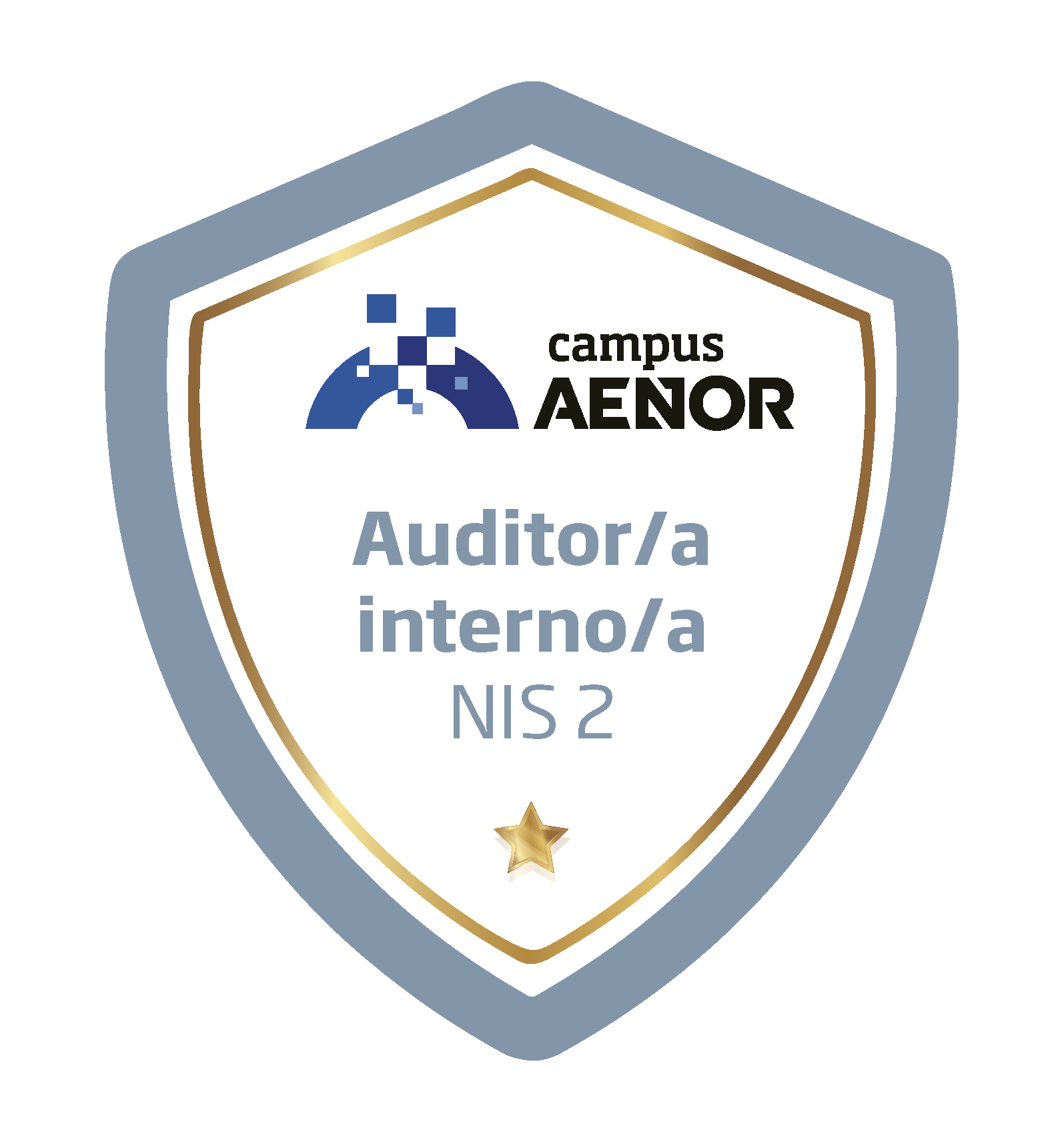 auditor interno