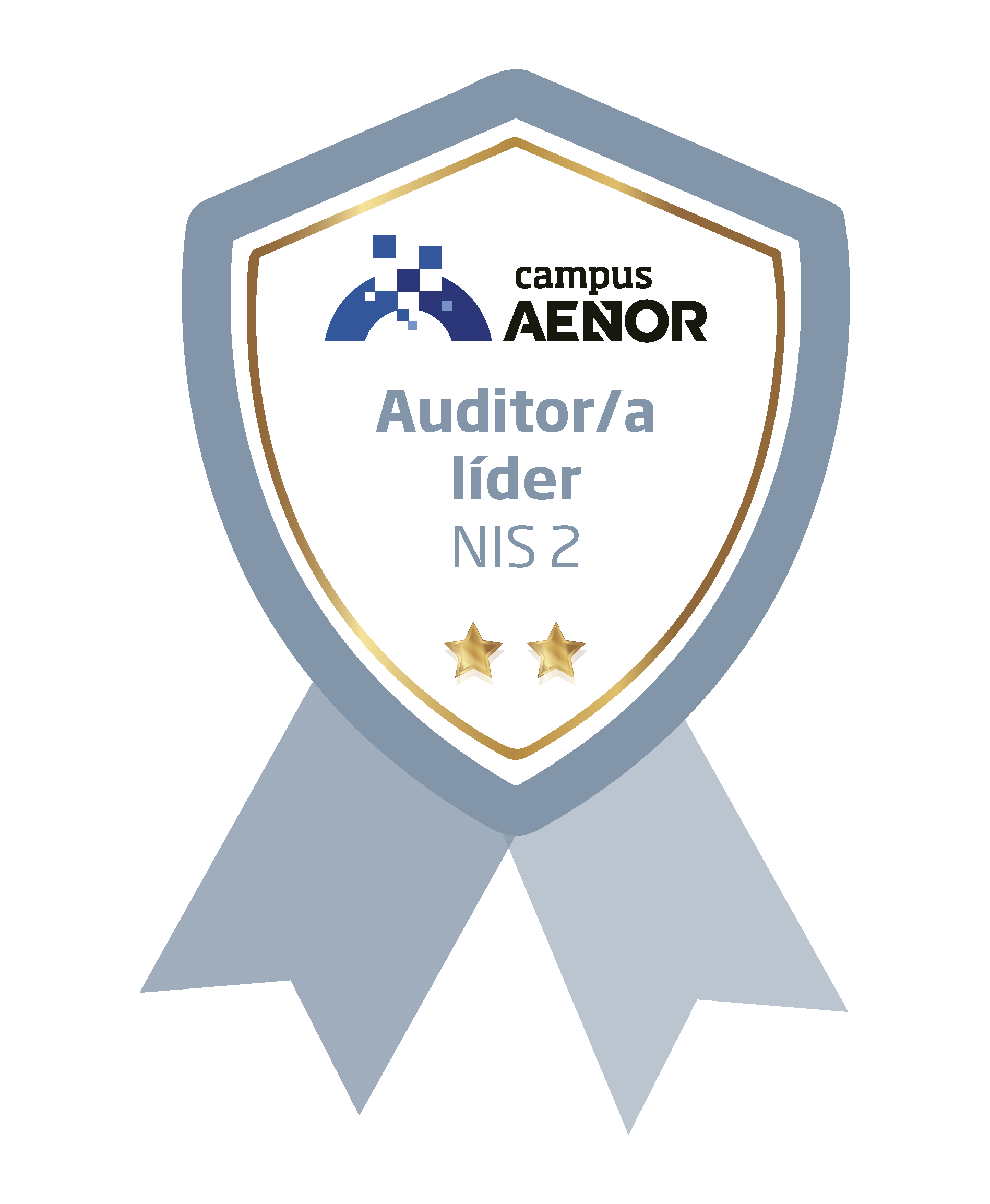 auditor lider